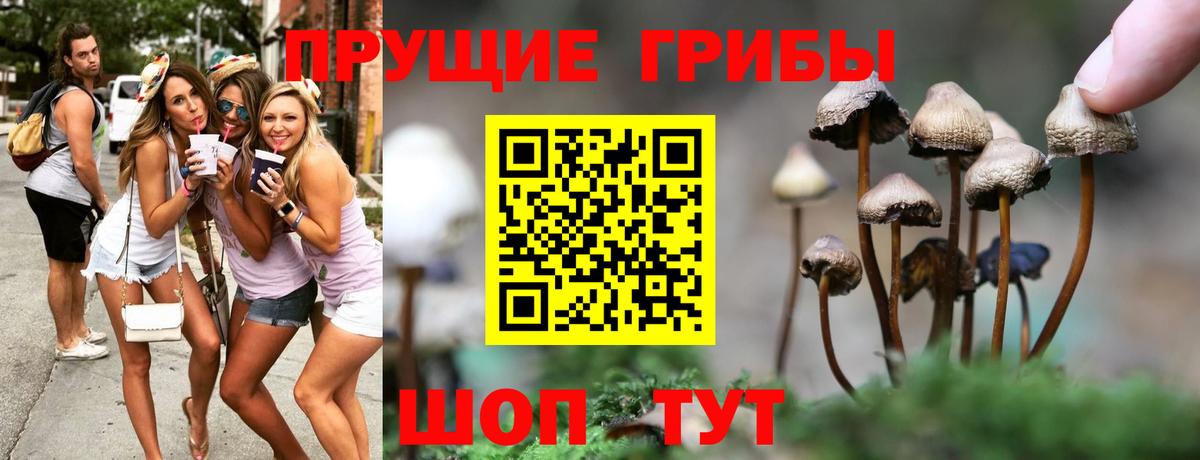 Псилоцибиновые грибы GOLDEN TEACHER Самара